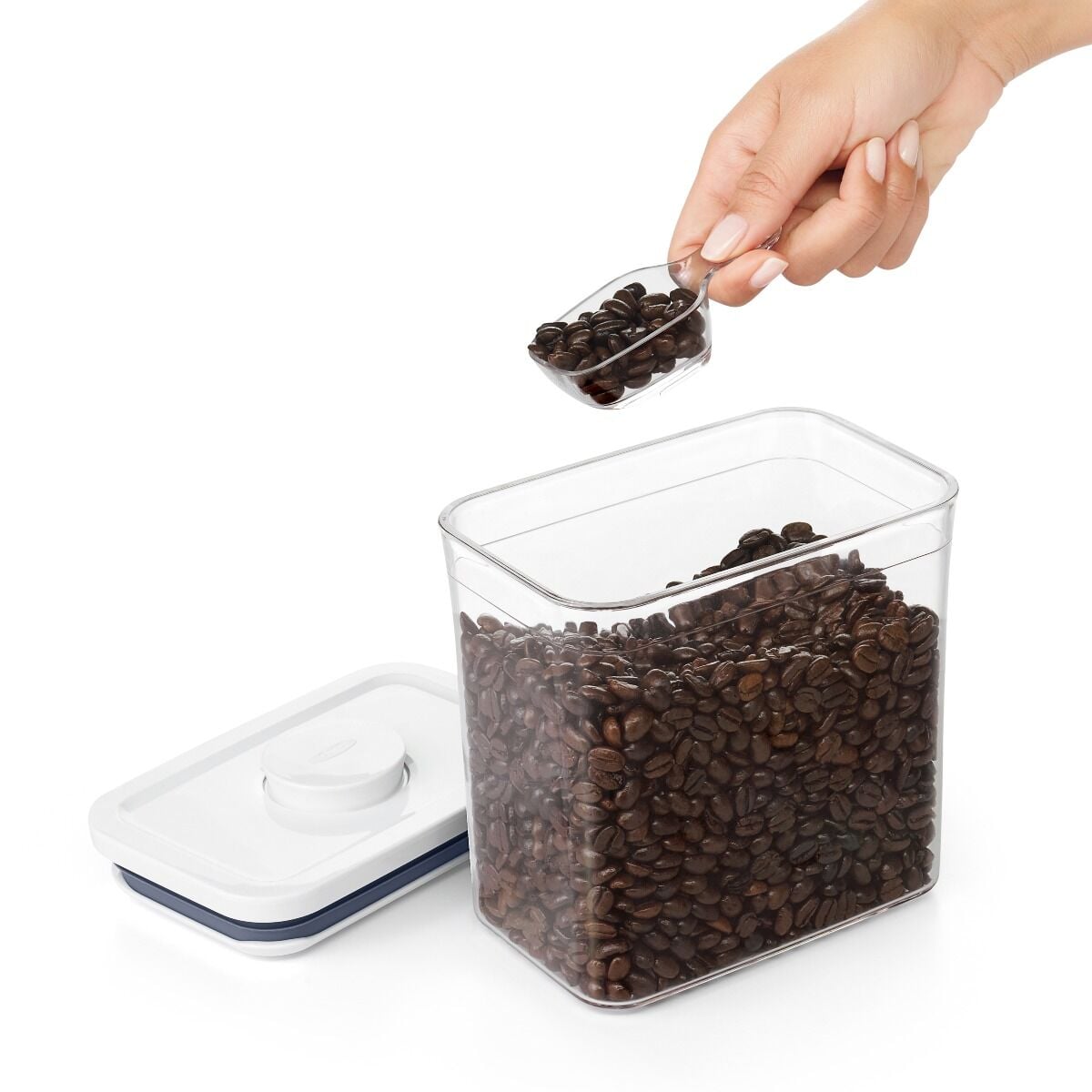 pop-coffee-scoop-f4 gg_11235500_4b_-v2.jpg