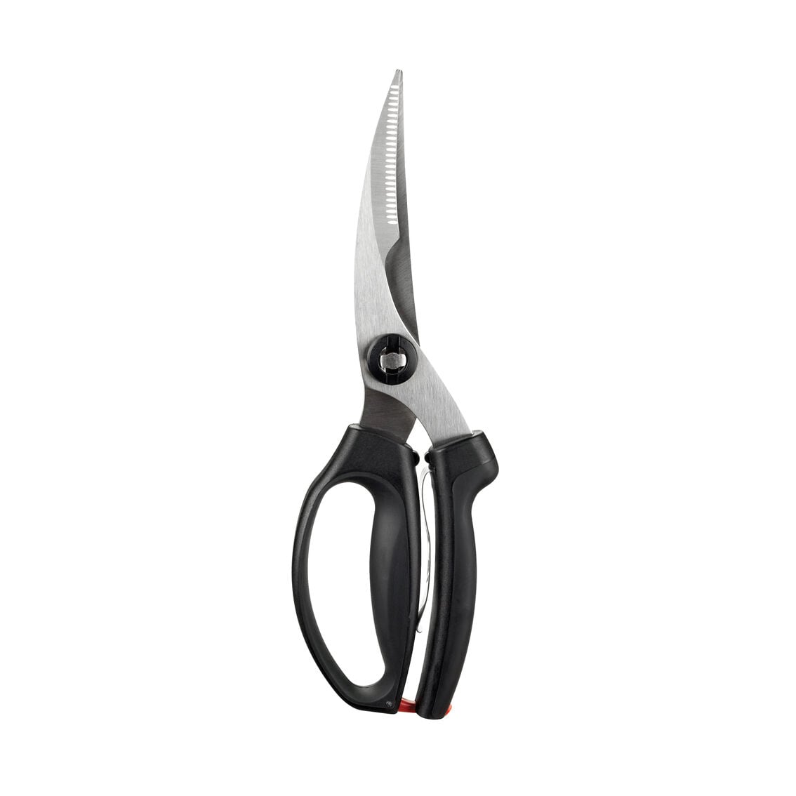 poultry-shears-n5 1072292V3.jpg