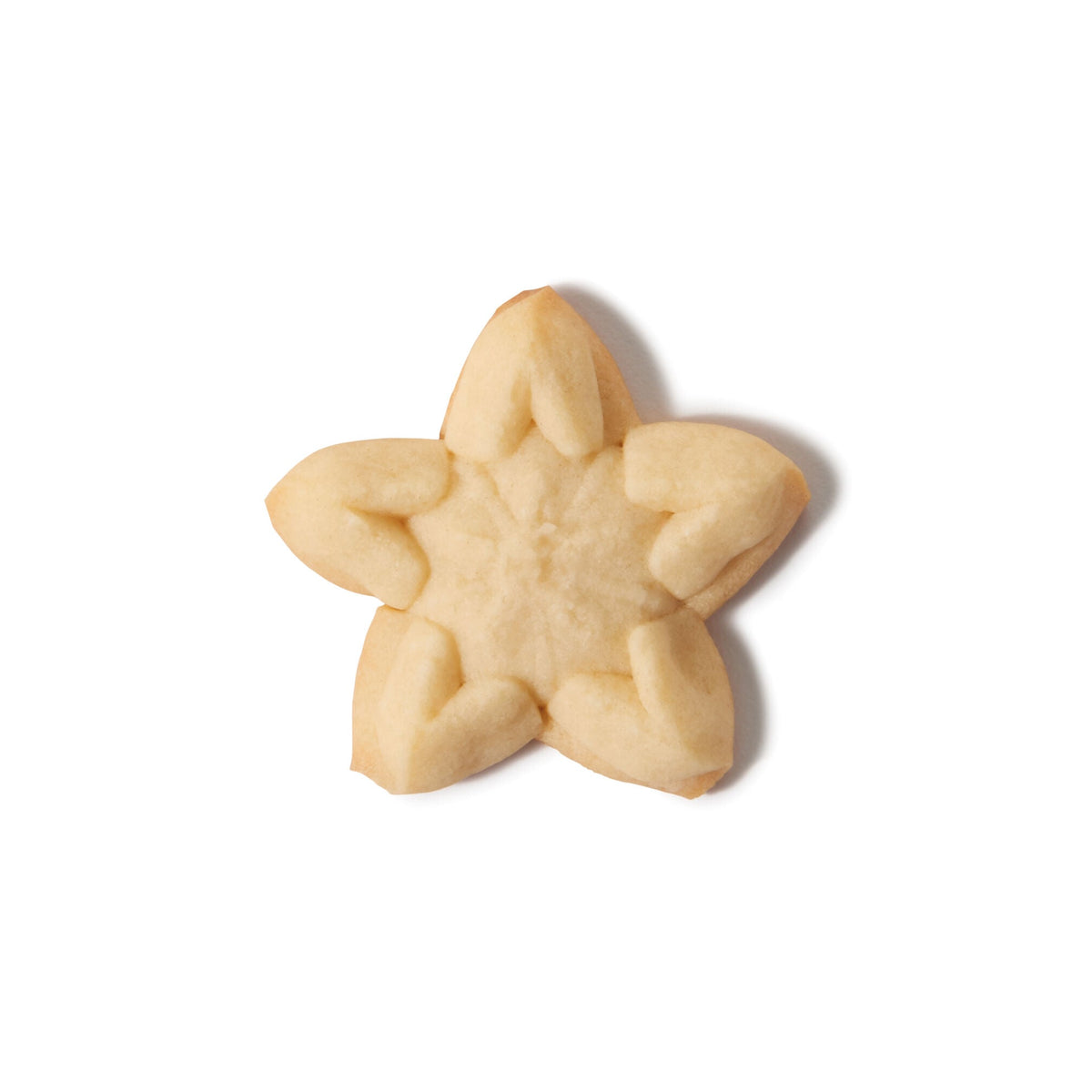 christmas-cookie-press-disk-set-v2 11177800_6_-star.jpg