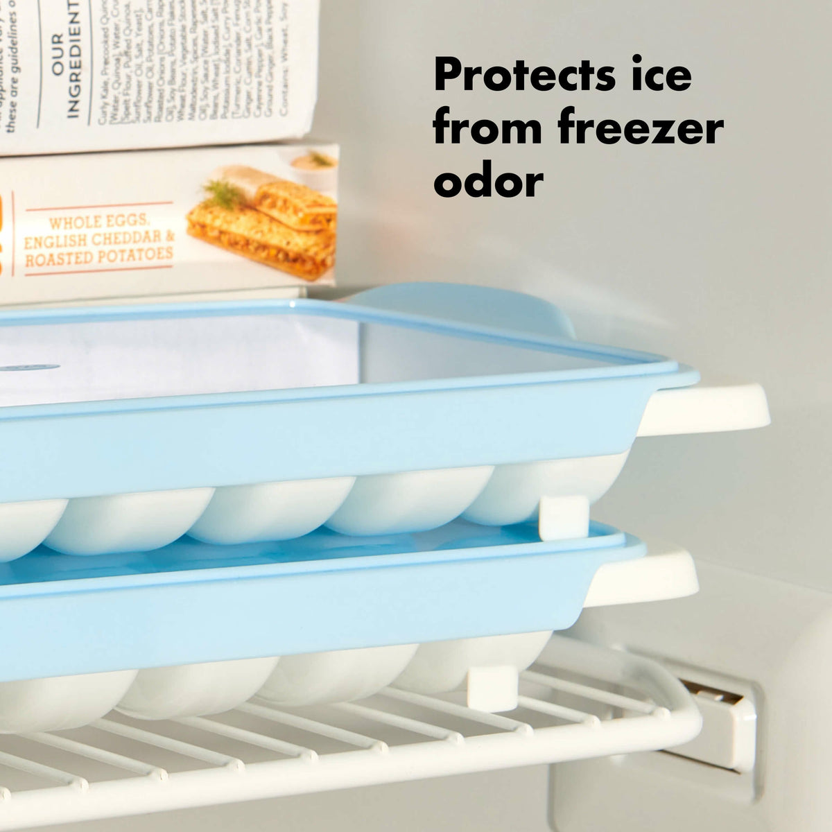 ice-cube-tray-a1 11284400_8a_1_.jpg