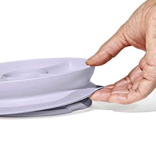 stick-and-stay-suction-divided-plate-a4 1134515a-7af7-4d77-8ad1-4534fbb13d49.jpg
