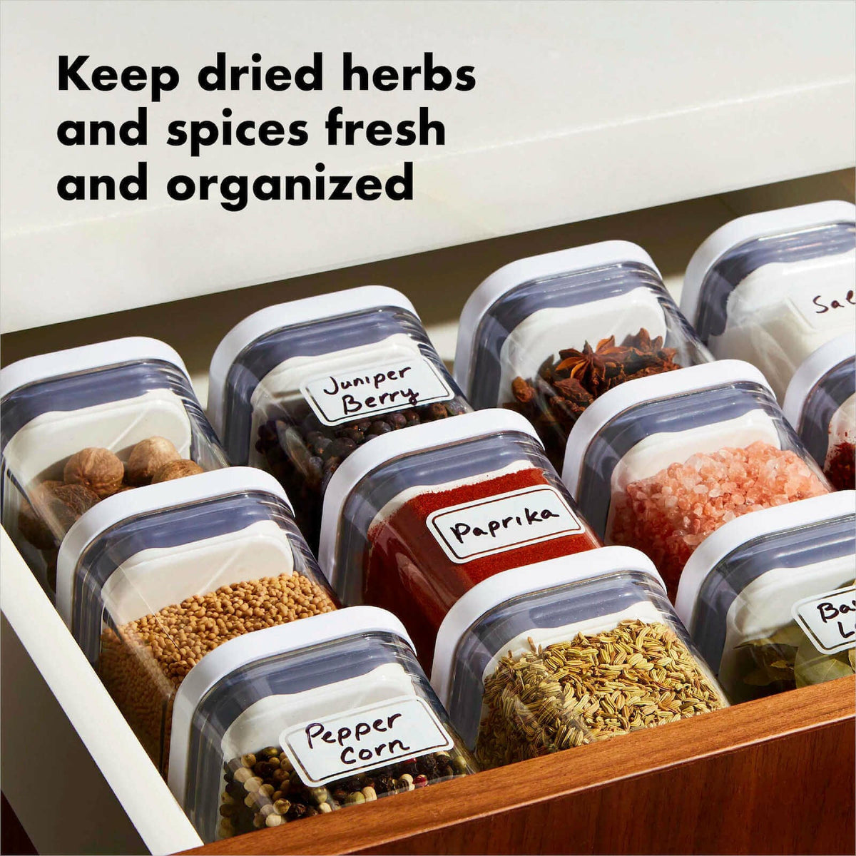 pop-4-piece-mini-container-set-d0 4_pieceaplusartboard_1-100_1_1_.jpg