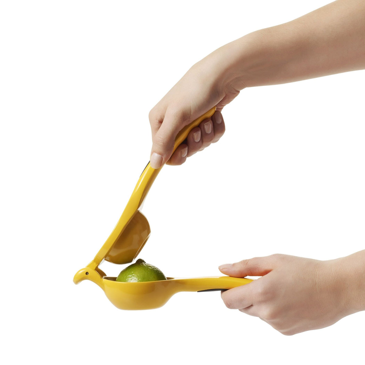 citrus-squeezer-x8 gg_1057962_4a.jpg