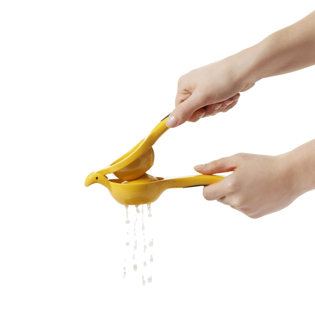 citrus-squeezer-x8 gg_1057962_4b.jpg