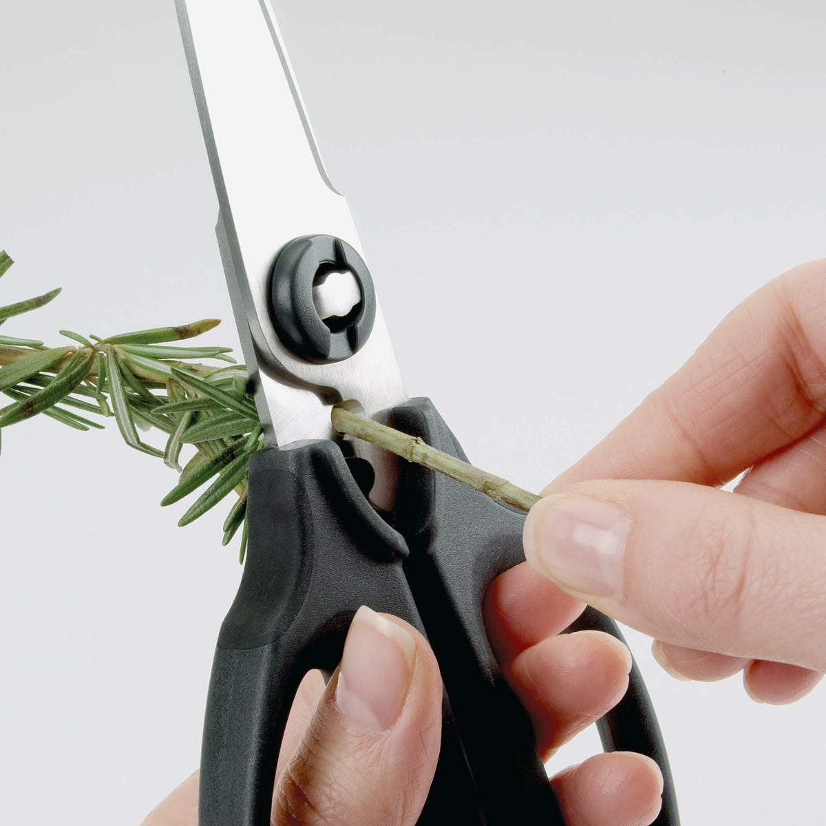 kitchen-and-herb-scissors-h8 gg_1072121_3_1_.jpg