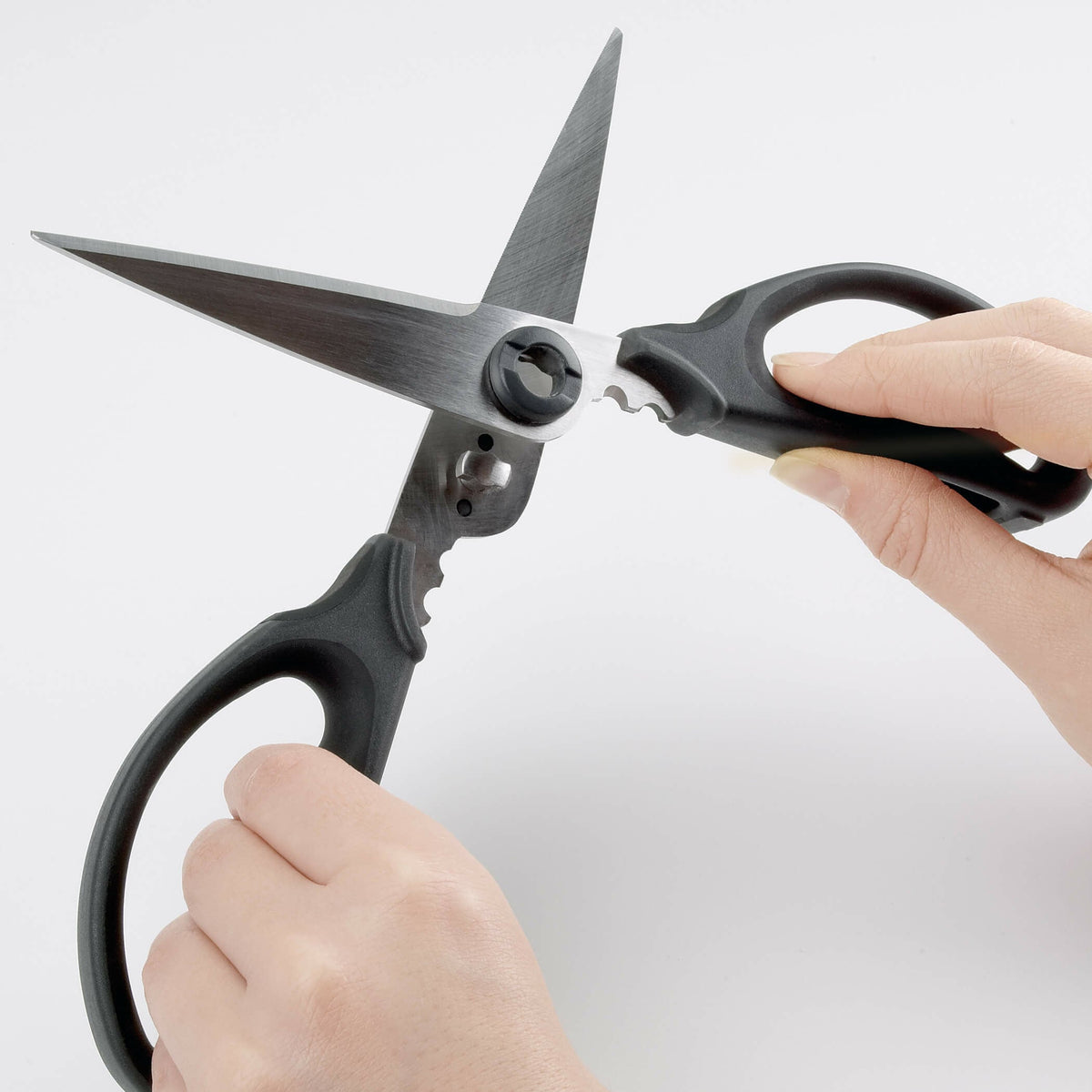kitchen-and-herb-scissors-h8 gg_1072121_4_1_.jpg
