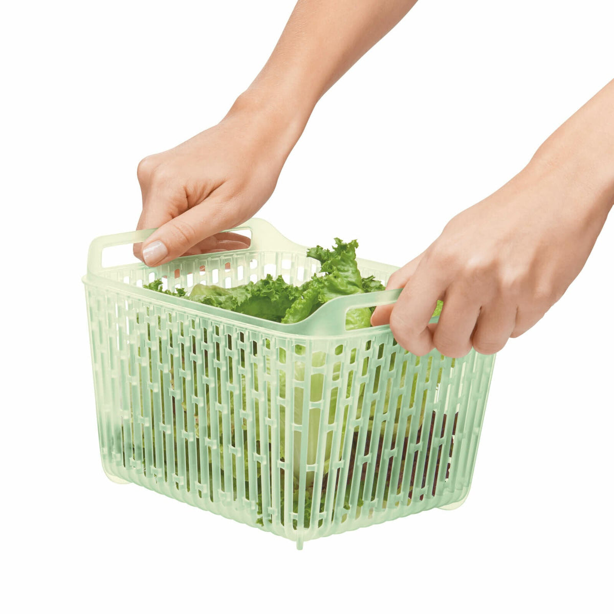 greensaver-produce-keeper-4-3-qt-m8 gg_11140000_4c_1_.jpg