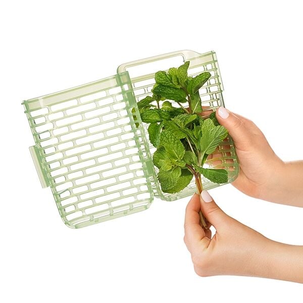 greensaver-herb-keeper-small-m4 gg_11212200_4.jpg
