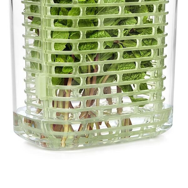 greensaver-herb-keeper-small-m4 gg_11212200_7.jpg