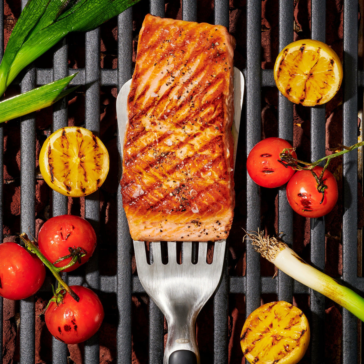 grilling-precision-turner-t5 gg_11309200_052020_11_rgb_1_.jpg
