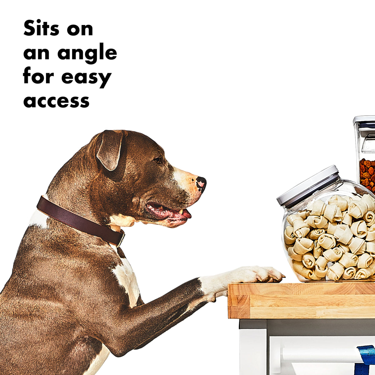 oxo-good-grips-pet-pop-container-3-0-qt-2-8-l-d3 gg_11332400_8b.jpg