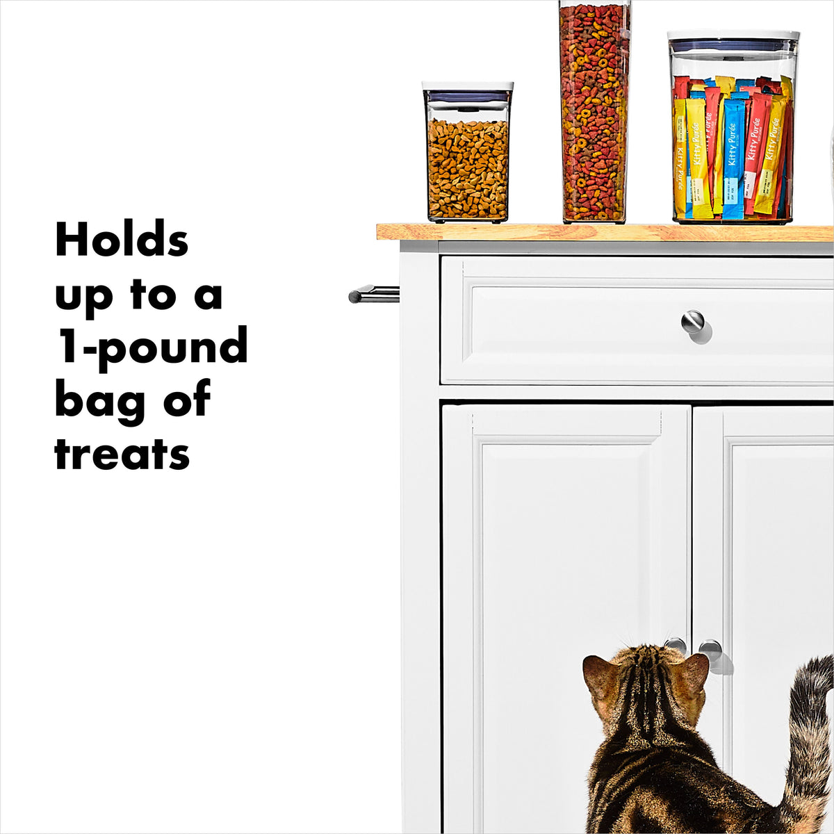 oxo-good-grips-pet-pop-container-1-1-qt-1-l-m8 gg_11332600_8.jpg