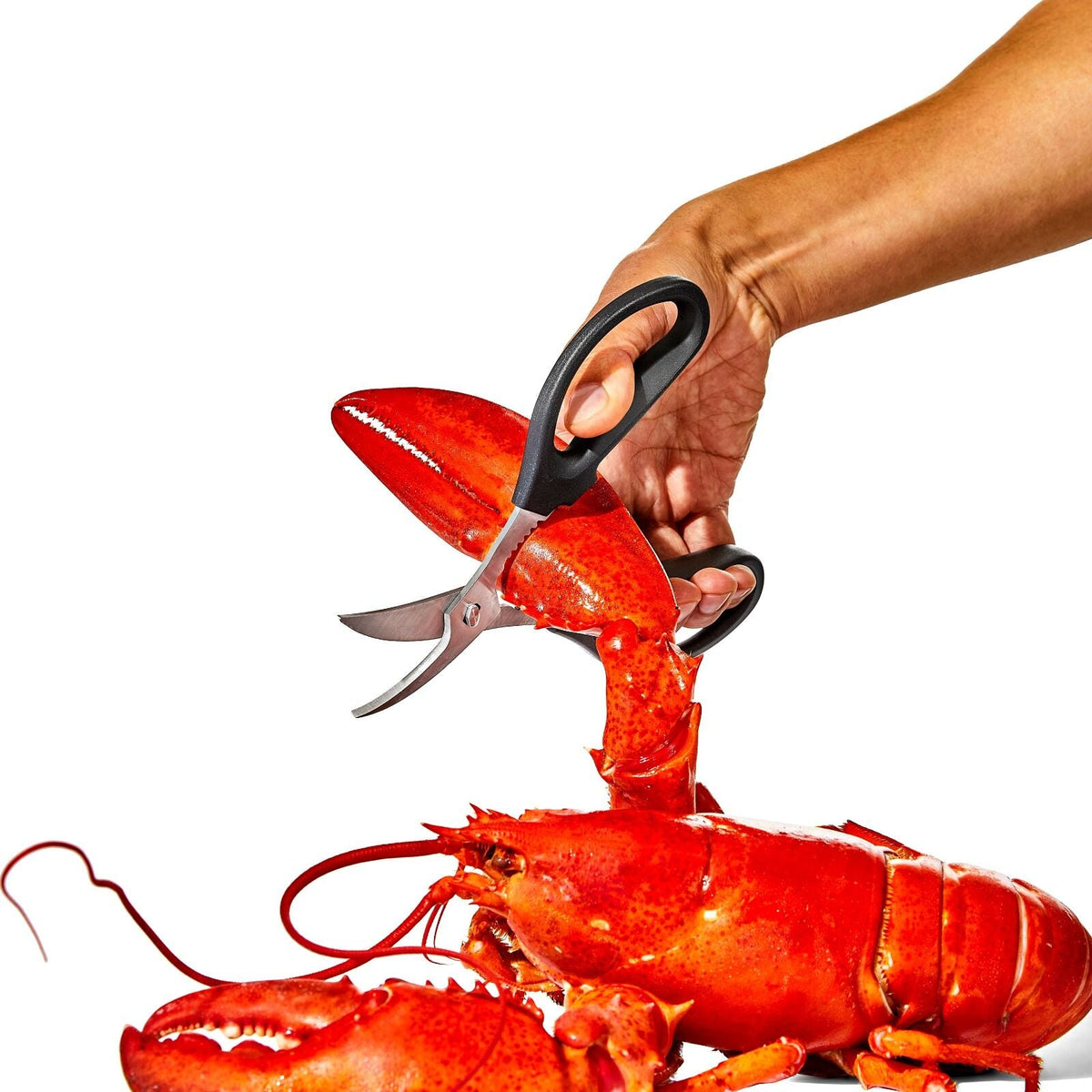 seafood-scissors-n7 gg_11350600_seafoodscissors_03_p.jpg
