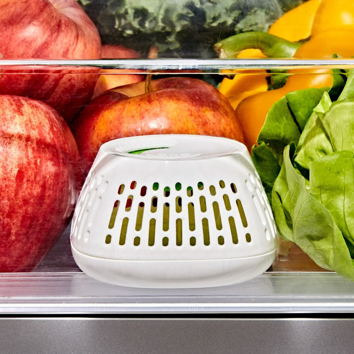produce-saver-crisper-drawer-insert-2-pack-u1 gg_11427700_greensaver-crisper-drawer-insert_pdp_02.jpeg