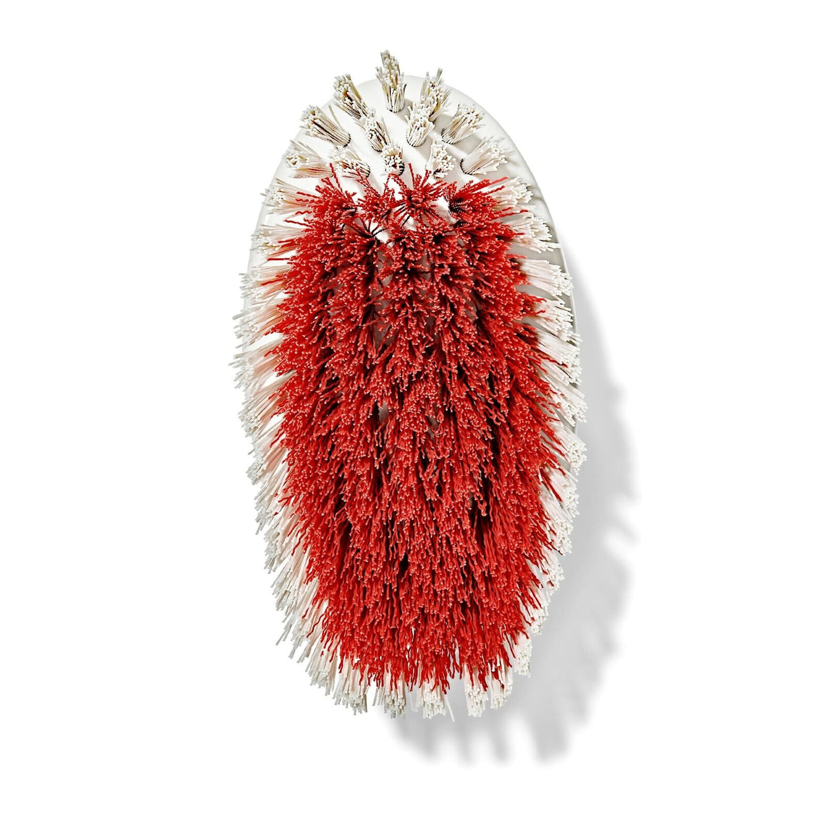 all-purpose-scrub-brush-2-pack-z3 gg_12426000_scrub-brush-2-pack_pdp_07.jpeg