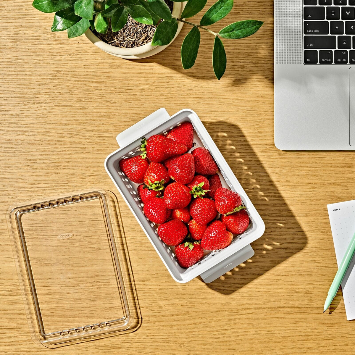 produce-saver-berry-keeper-2-piece-set-o9 gg_berry-keeper-produce-saver_pdp_01_1_.jpg