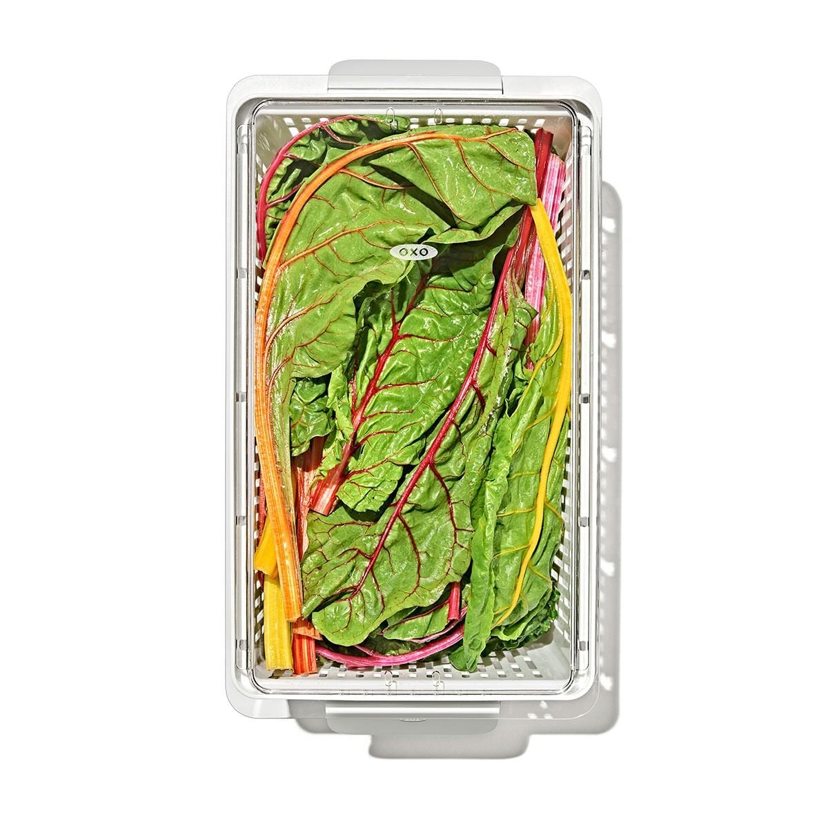 produce-saver-large-bin-h0 gg_sw_produce-saver-large_10.jpg
