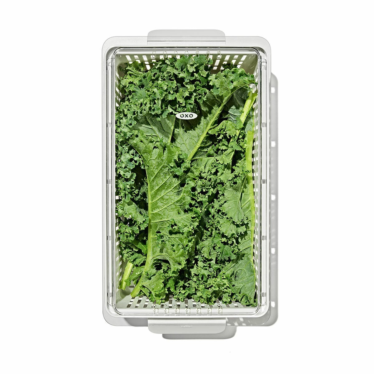 produce-saver-medium-bin-z8 gg_sw_produce-saver-medium_05.jpg
