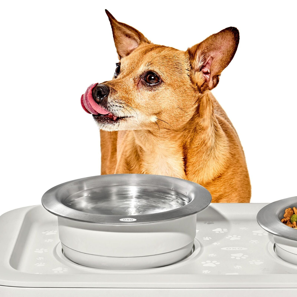 oxo-pet-nonslip-bowl-medium-2-cups-480-ml-i3 pet_7101900_nonslip-medium-bowl_pdp_02.jpeg