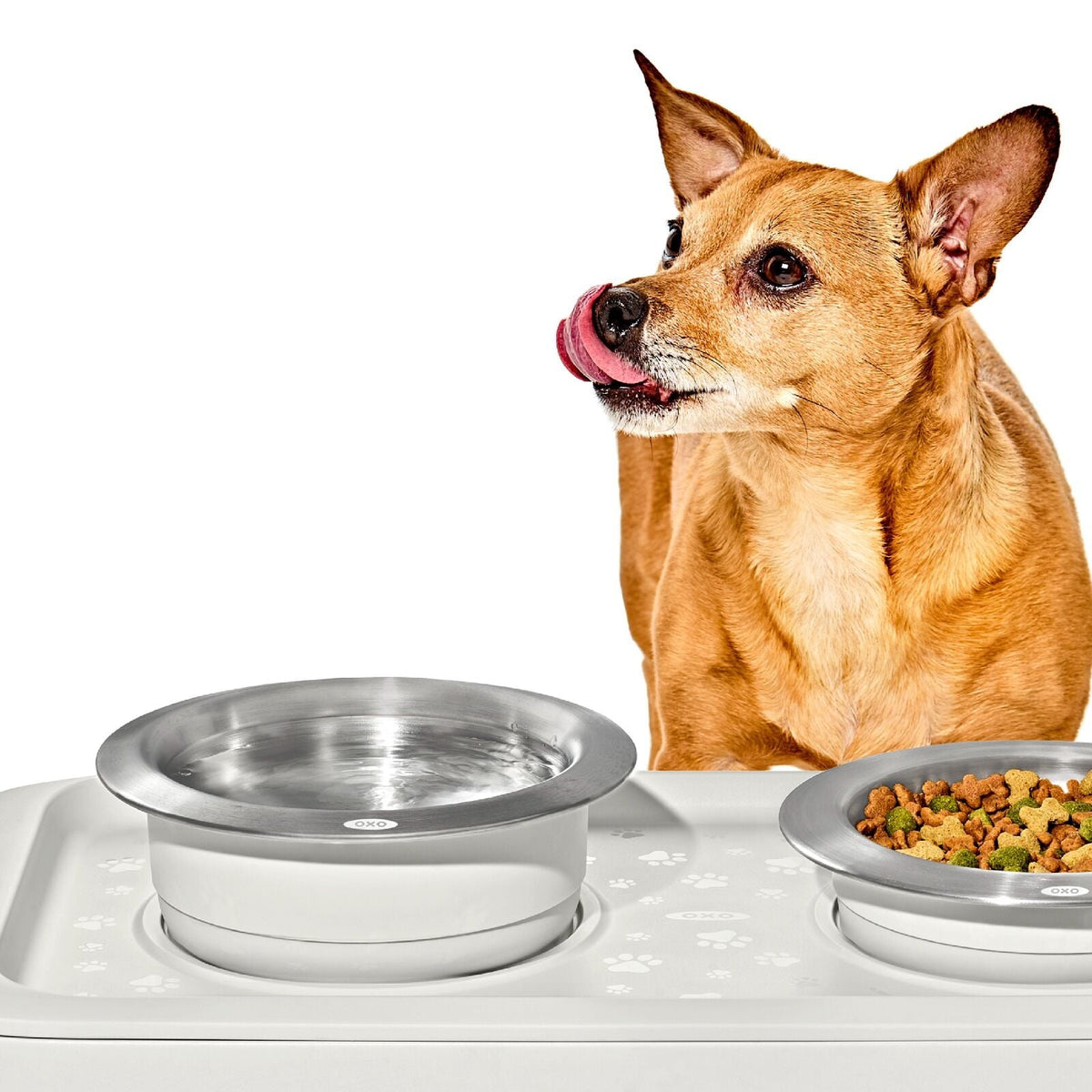 oxo-pet-nonslip-bowl-large-4-cups-950-ml-t0 pet_7102000_nonslip-large-bowl_pdp_02.jpeg