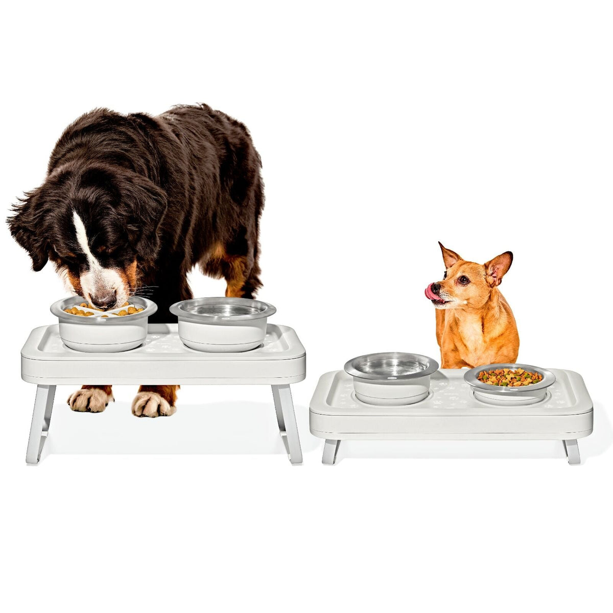 oxo-pet-adjustable-elevated-feeder-d2 pet_7102300_elevated-feeder_pdp_01.jpeg