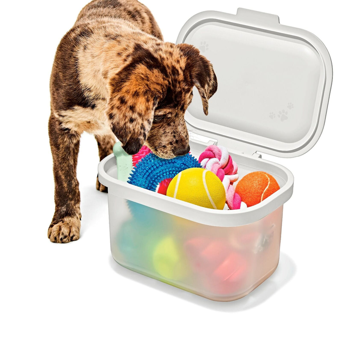 oxo-pet-multi-purpose-container-a1 pet_7301300_multi-purpose-container_pdp_06.jpeg