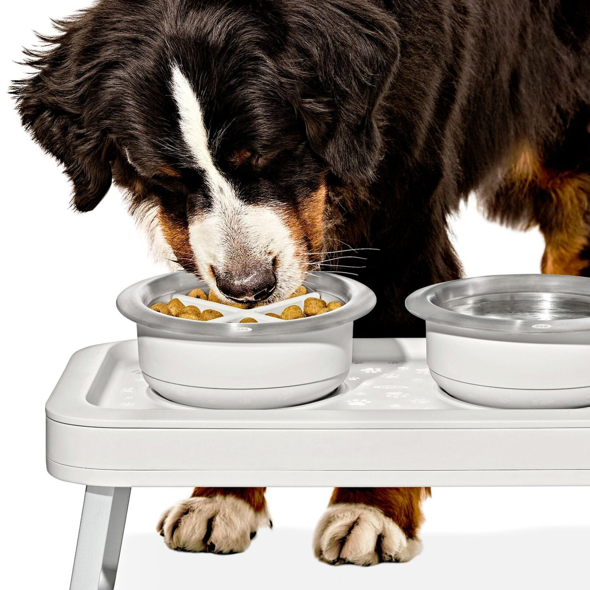 oxo-pet-easy-clean-slow-feeder-medium-2-cups-489-ml-p1 pet_slow-feeder-medium-large_pdp_02_1.jpeg