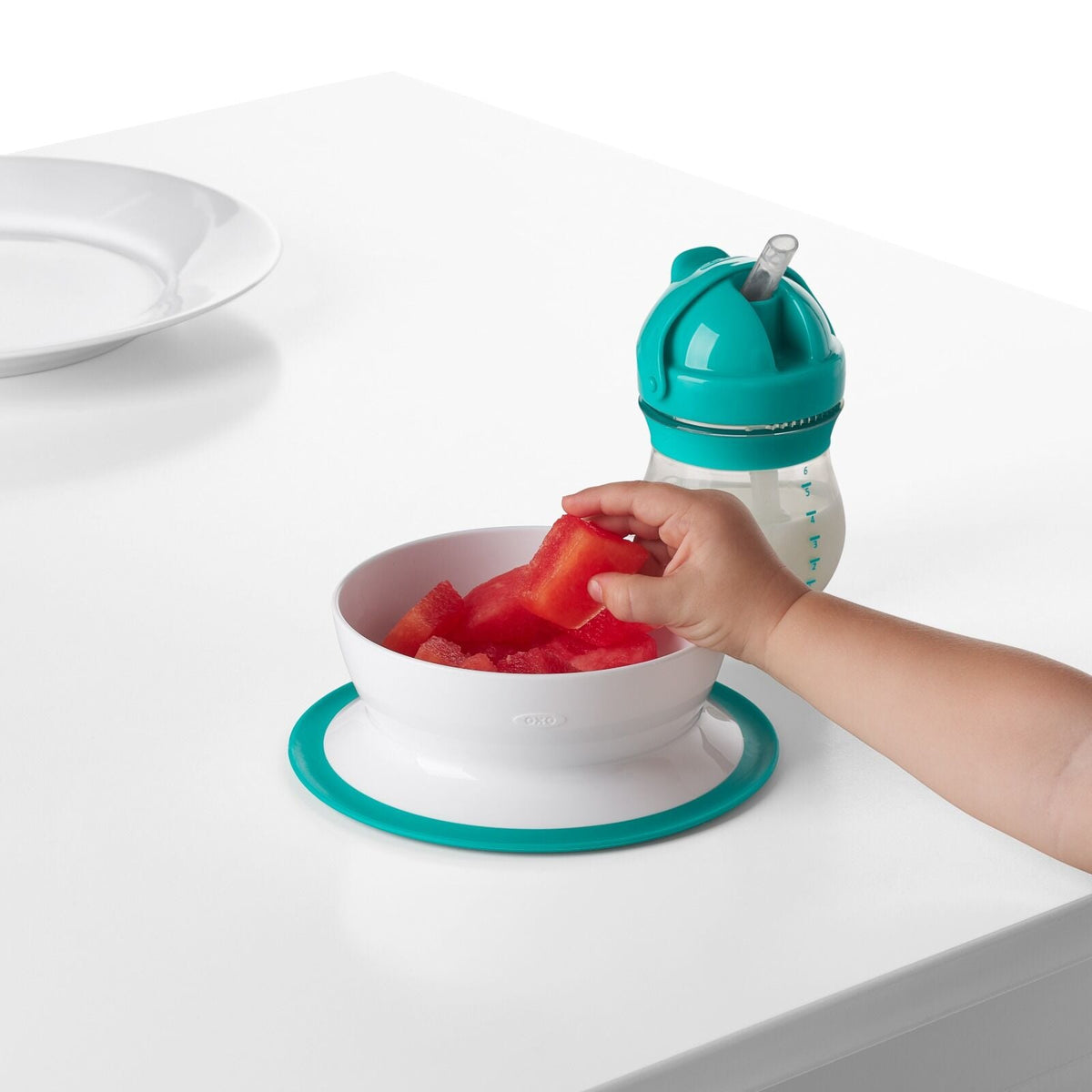 stick-and-stay-suction-bowl-c5 tot_61120600_4i.jpg